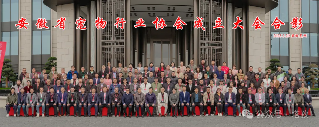 宠都平台成为安徽省宠物行业协会理事单位，开启宠物产业新征程