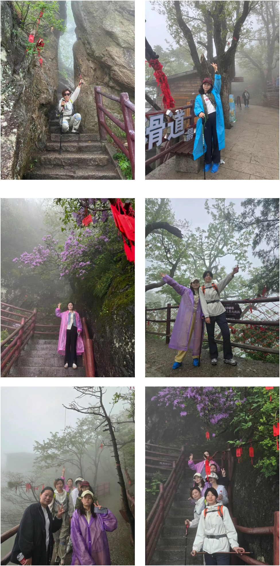登山途中.jpg 登山途中.jpg